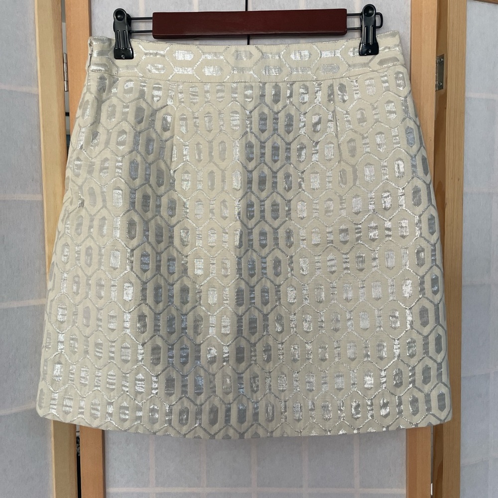 Banana Republic Silver & Beige Skirt